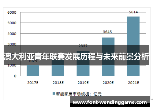 澳大利亚青年联赛发展历程与未来前景分析