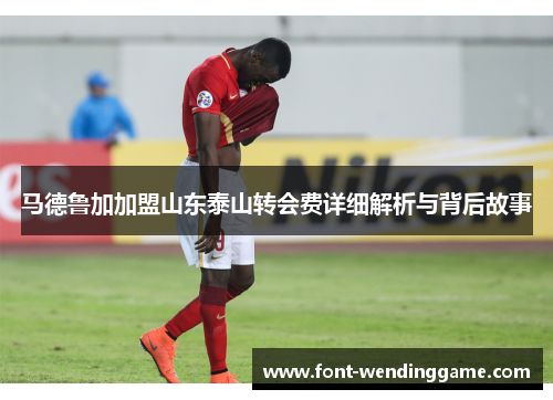 马德鲁加加盟山东泰山转会费详细解析与背后故事