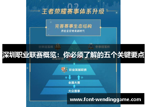 深圳职业联赛概览：你必须了解的五个关键要点
