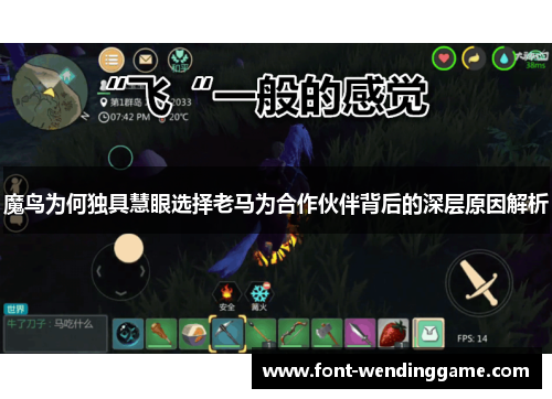 魔鸟为何独具慧眼选择老马为合作伙伴背后的深层原因解析